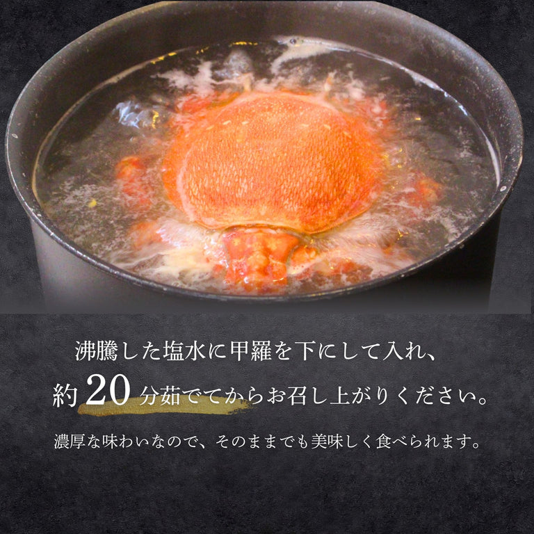 【送料無料】特大アサヒガニ ｜1.5kg〜