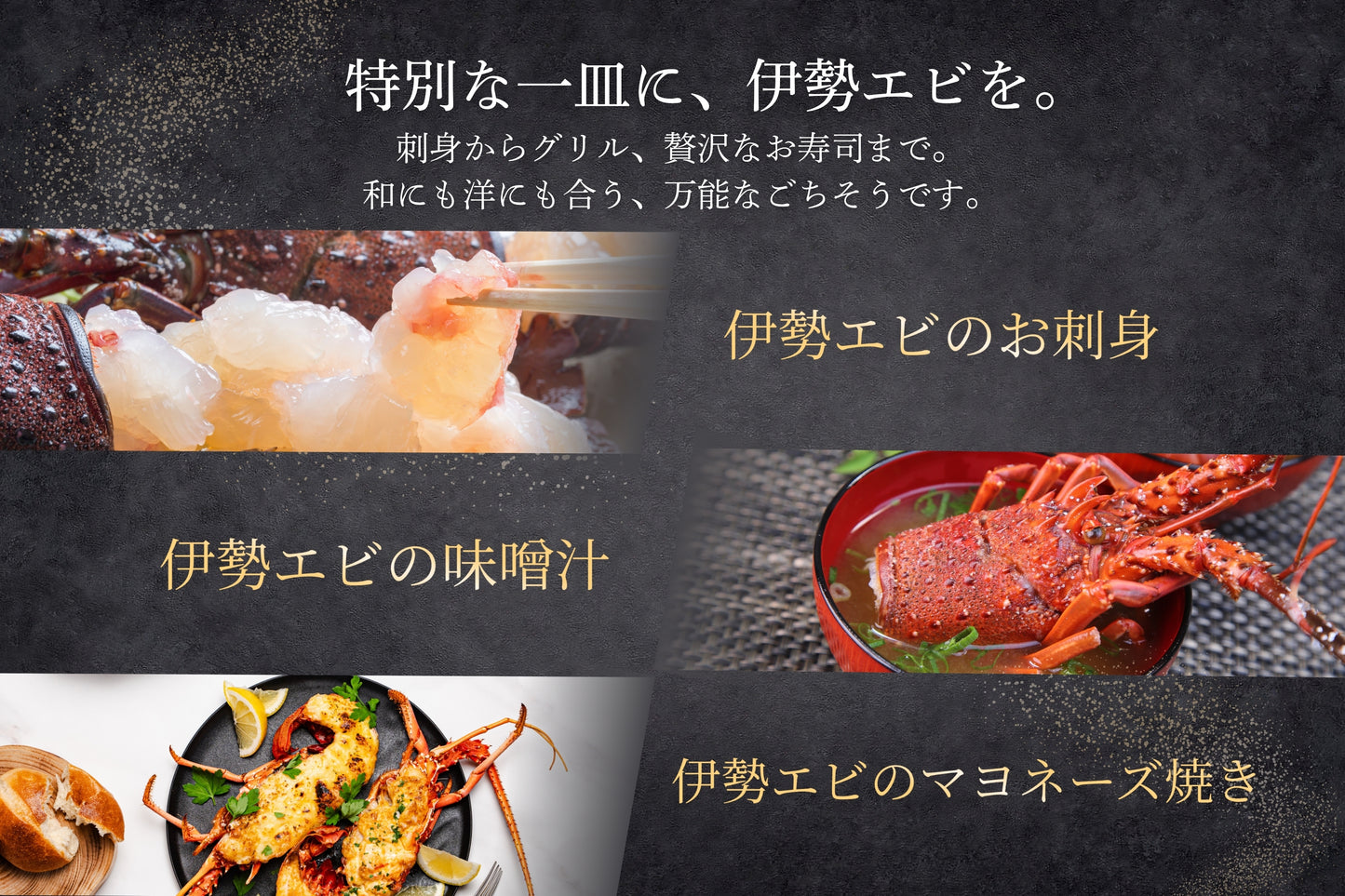 【特大サイズ】お刺身に最適な伊勢エビ（宮崎産｜1.5kg〜）