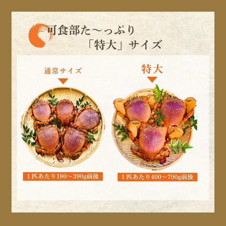 【送料無料】特大アサヒガニ ｜1.5kg〜