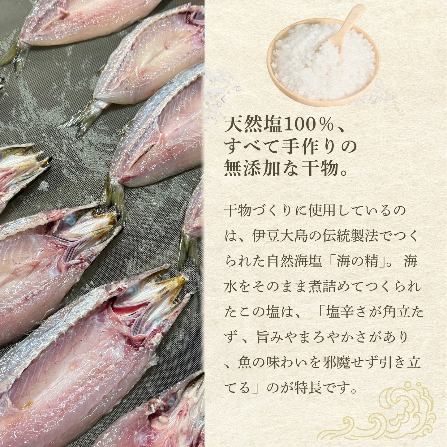 【海の精×天日干し】カマスの”無添加”干物