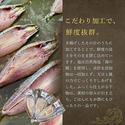 【海の精×天日干し】カマスの”無添加”干物