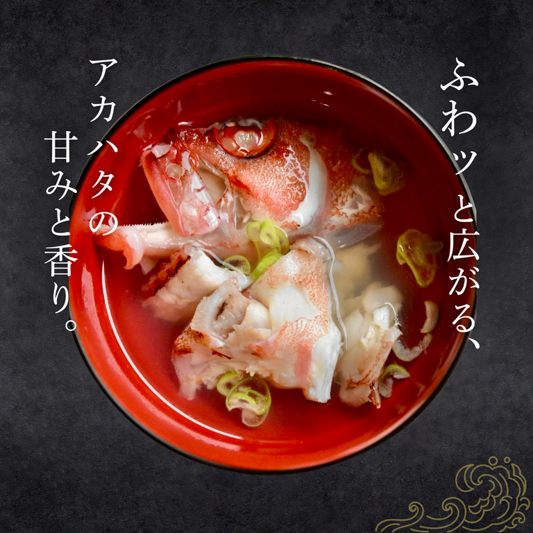 【夏季限定】天然アカハタ｜8月末まで発送