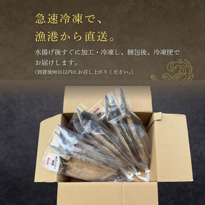 【海の精×天日干し】カマスの”無添加”干物