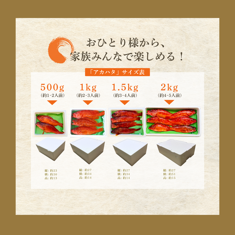 【夏季限定】天然アカハタ｜8月末まで発送
