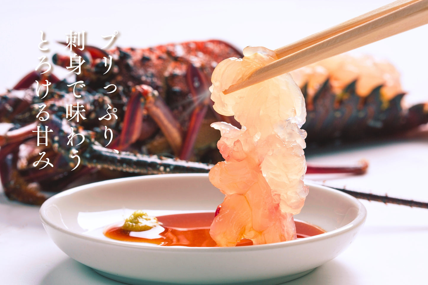 【特大サイズ】お刺身に最適な伊勢エビ（宮崎産｜1.5kg〜）