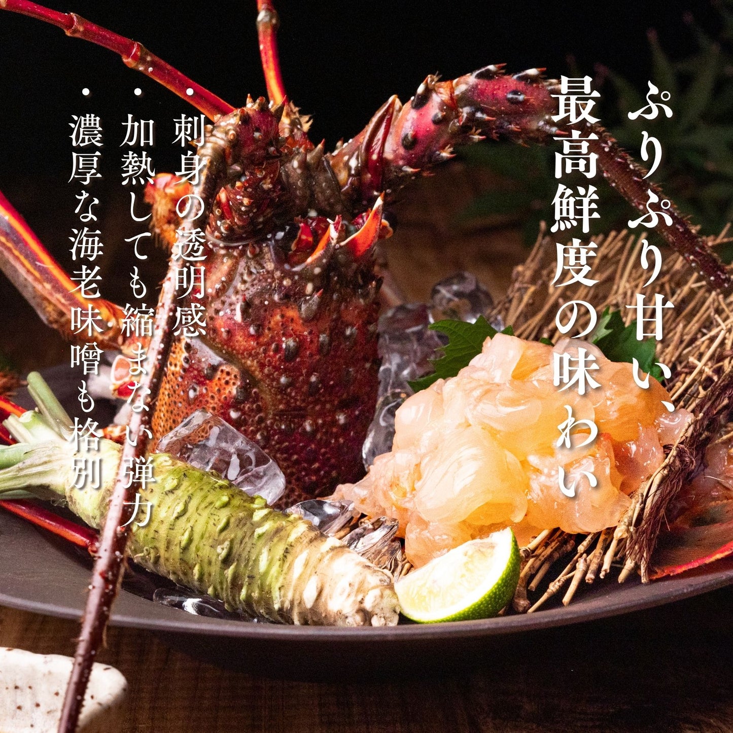 【生】伊勢エビ｜500g〜