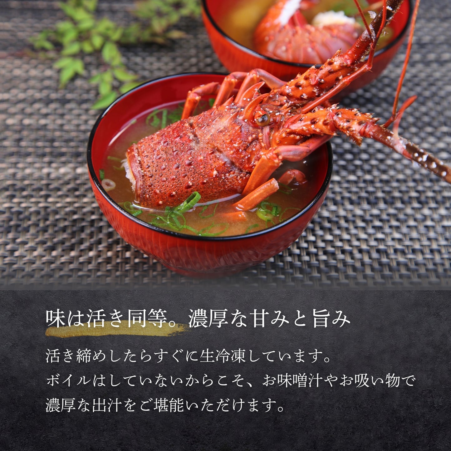 【冷凍】伊勢エビ｜500g〜