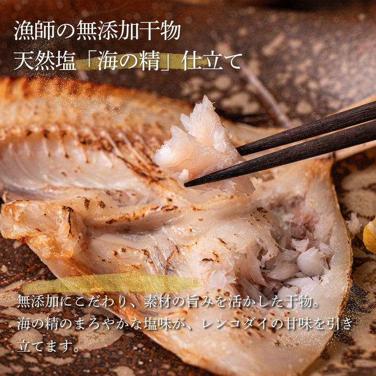 【海の精仕立て】レンコダイ干物