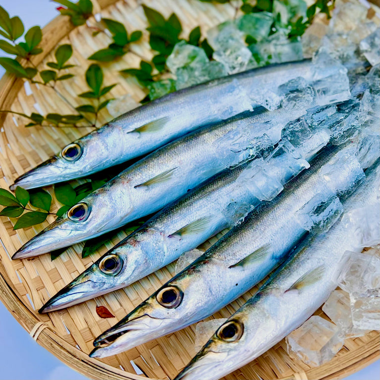 カマス