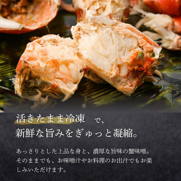 【送料無料】特大アサヒガニ ｜1.5kg〜