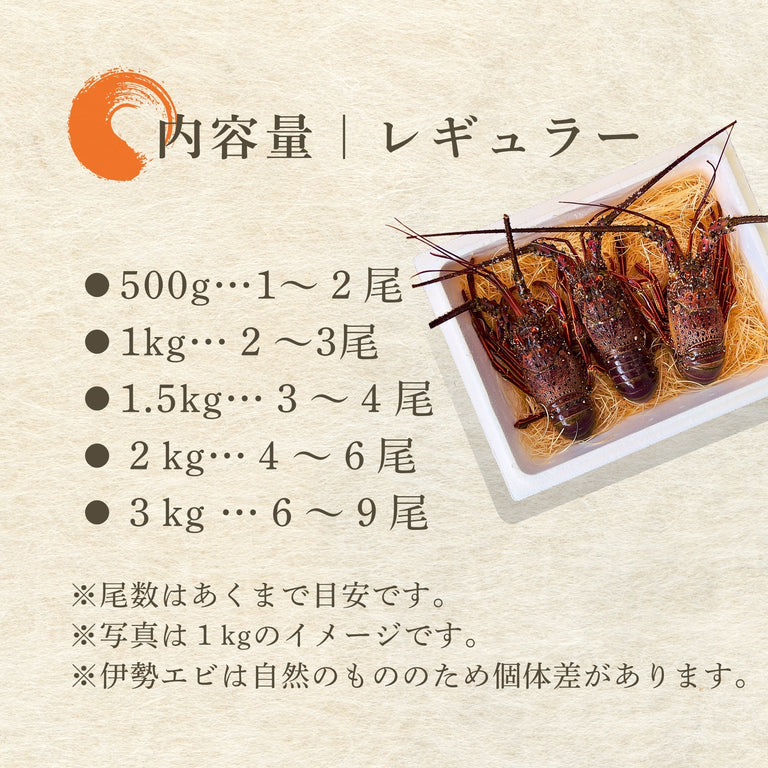 【お試し】天然「活」伊勢エビ｜500g（1~2尾）