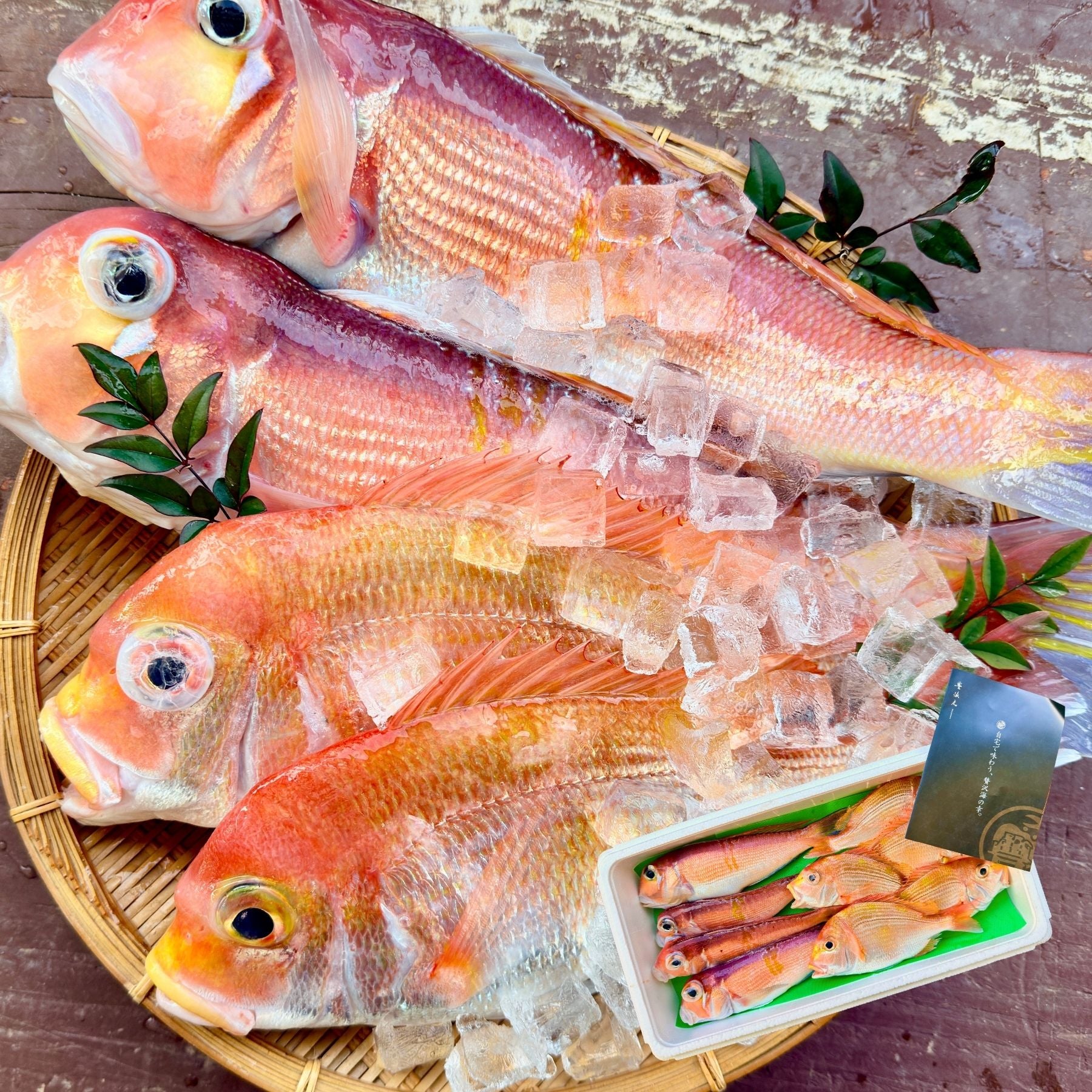 【食べ比べ】甘鯛 × レンコダイセット