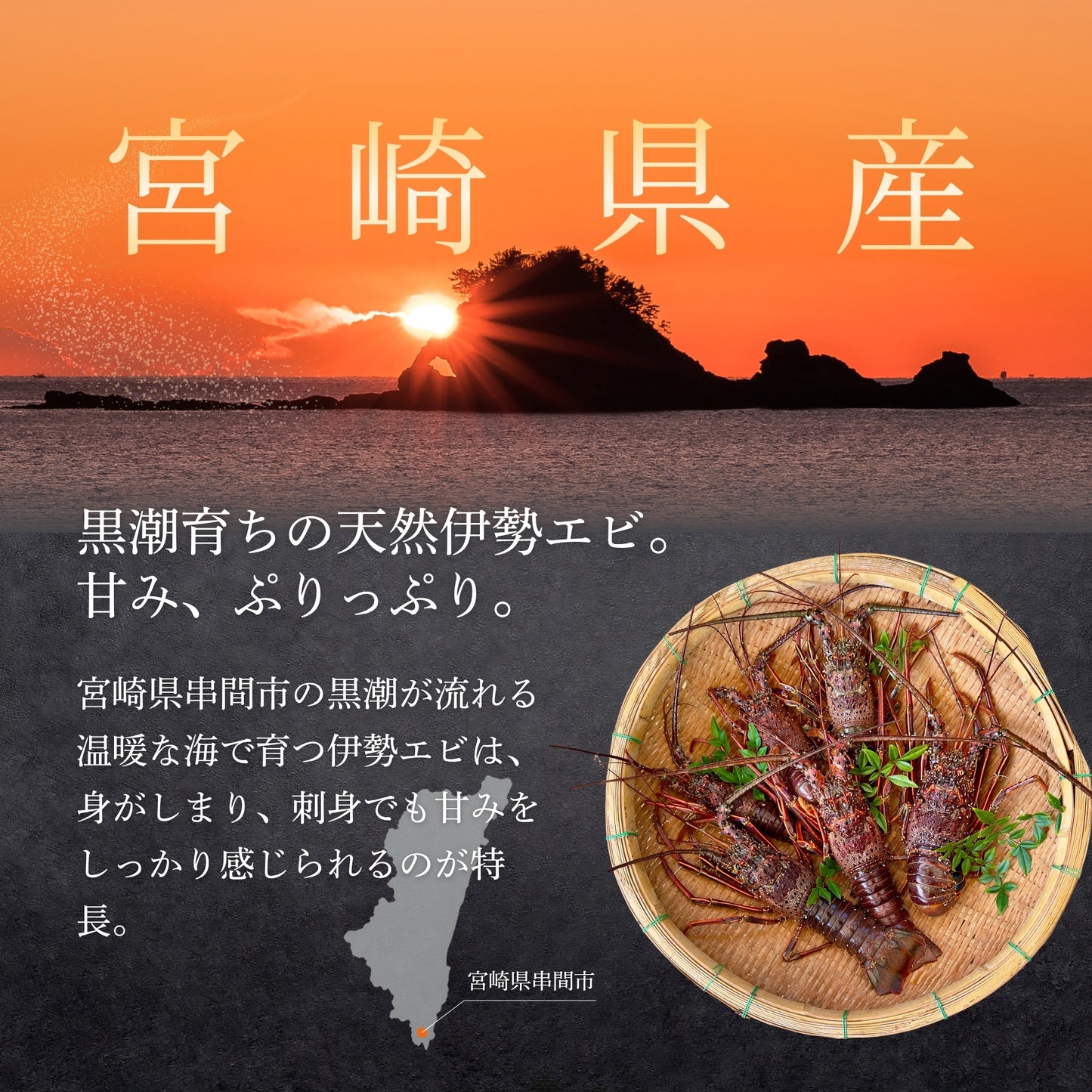 【冷凍】伊勢エビ｜500g〜