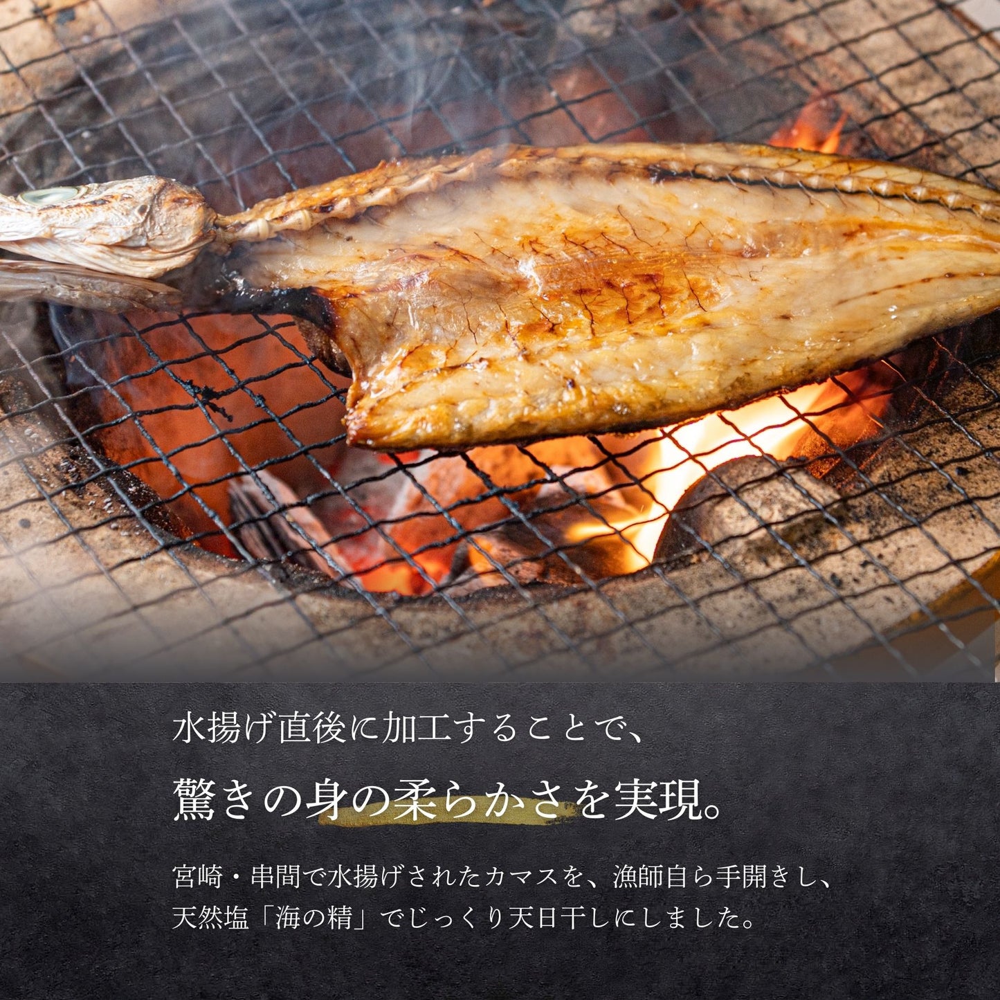 【海の精×天日干し】カマスの”無添加”干物