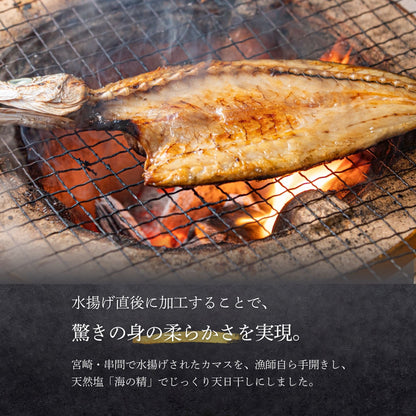 【海の精×天日干し】カマスの”無添加”干物
