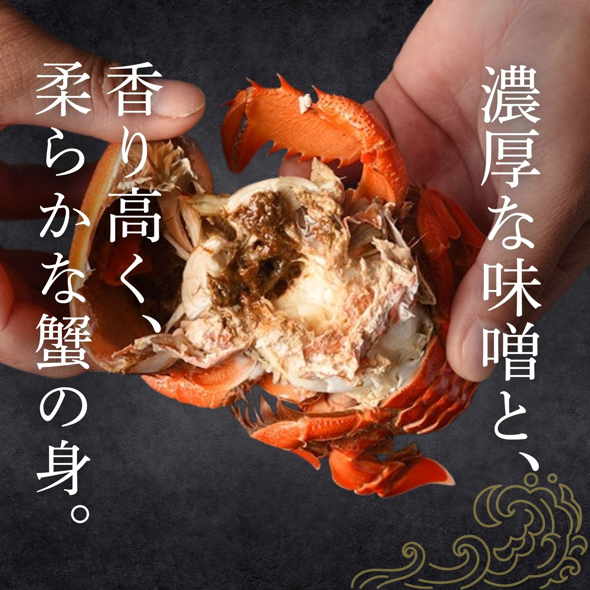 アサヒガニ｜1kg〜 – 豊漁丸-Houryoumaru-