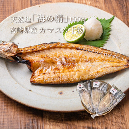 【海の精×天日干し】カマスの”無添加”干物