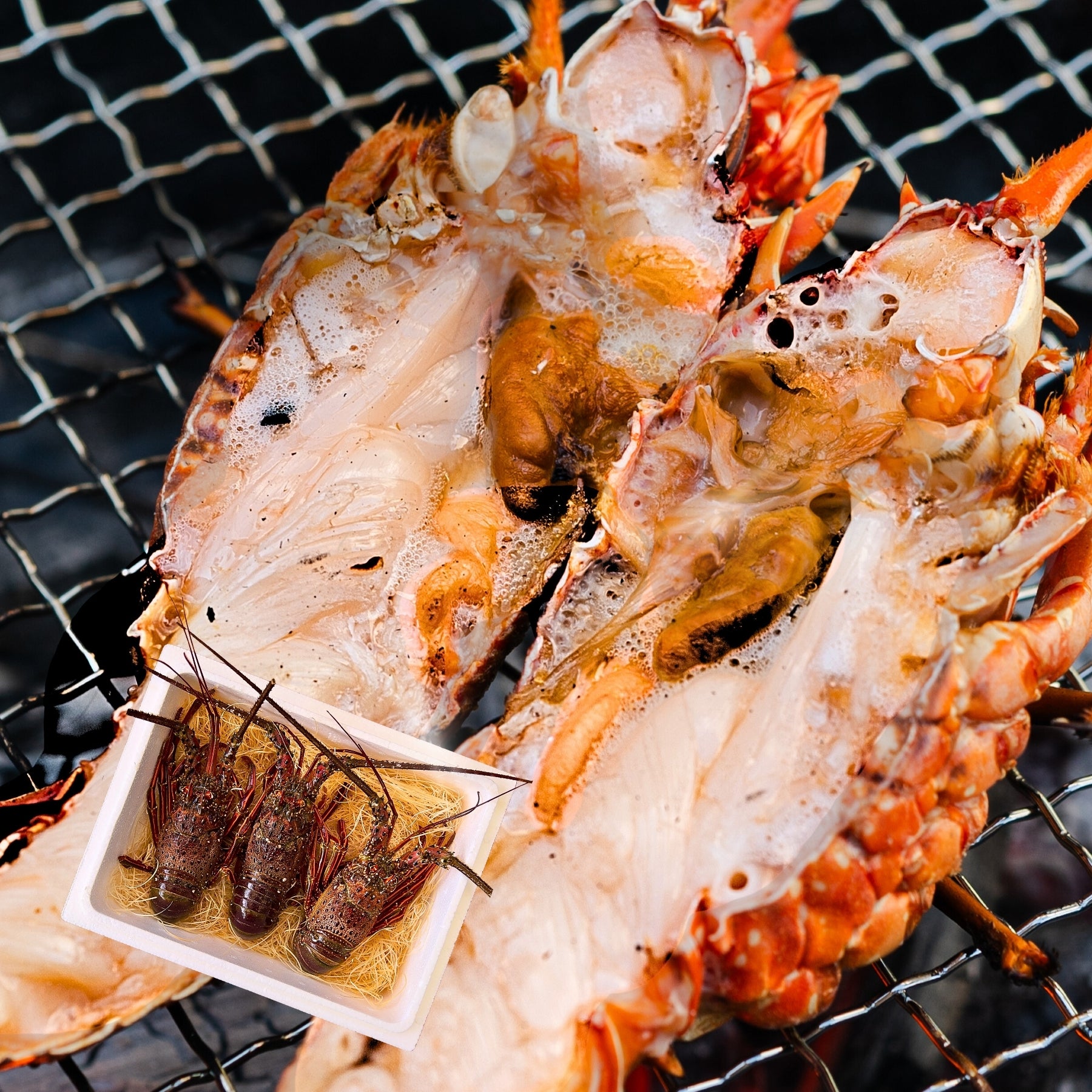 【冷凍】伊勢エビ｜500g〜