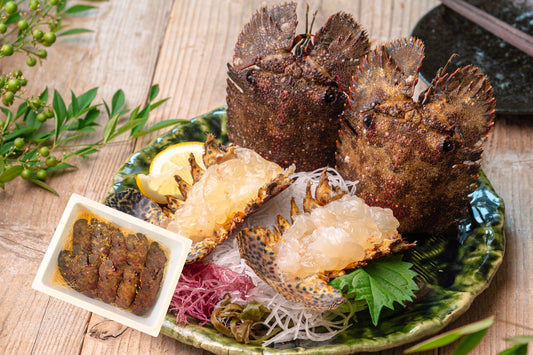 【数量限定】エビ通に人気のゾウリエビ（宮崎産｜１kg〜）