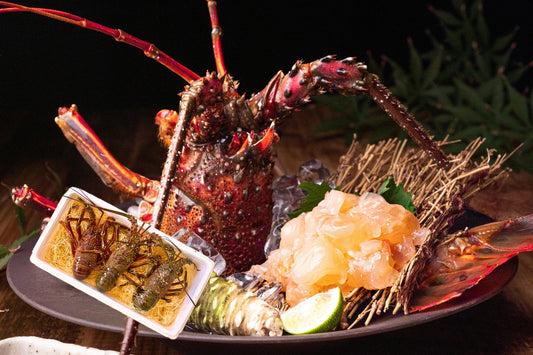 【特大サイズ】お刺身に最適な伊勢エビ（宮崎産｜1.5kg〜）