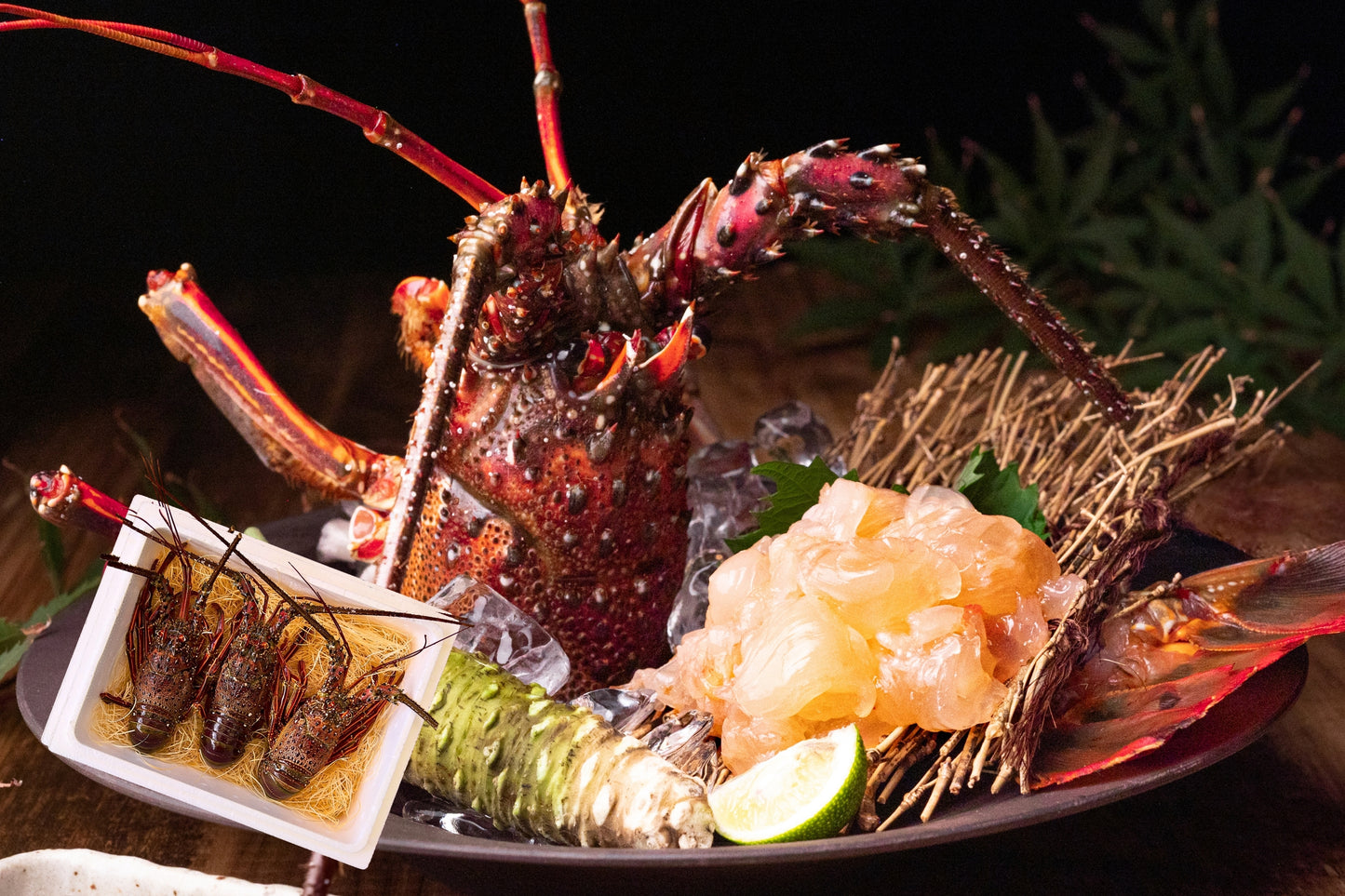 【活かして発送】甘み濃厚な天然伊勢エビ（宮崎産｜500g〜）