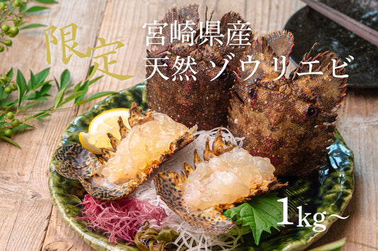 【数量限定】エビ通に人気のゾウリエビ（宮崎産｜１kg〜）