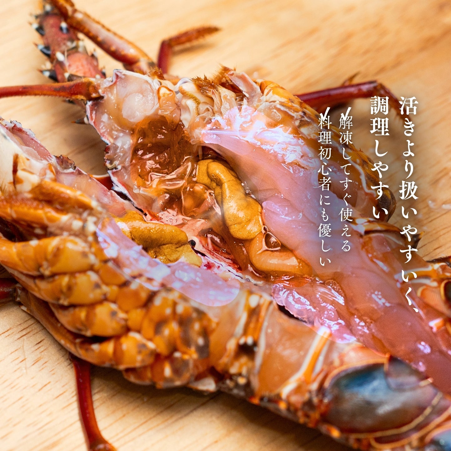 【冷凍】伊勢エビ｜500g〜