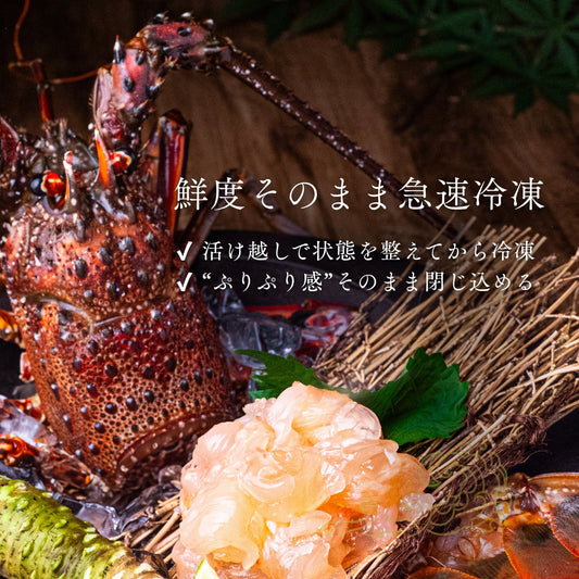 【冷凍】伊勢エビ｜500g〜