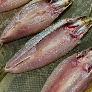 カマスの干物 ー9枚セット（3枚×3袋/900〜980g）