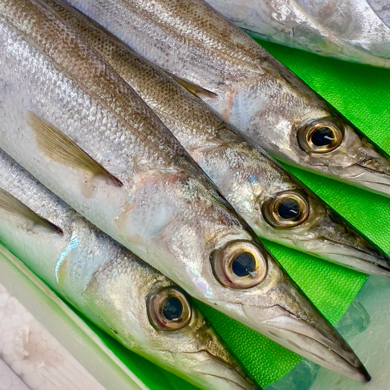 カマス