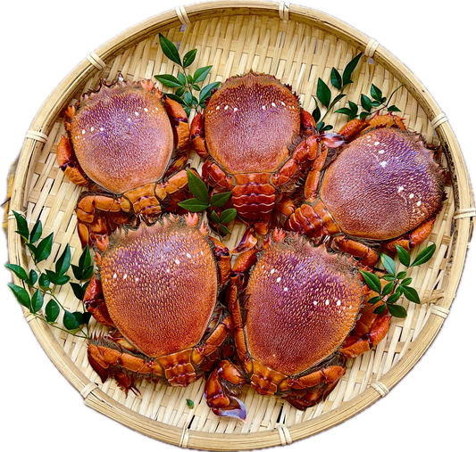 【生冷凍】「旅サラダ」「満点☆青空レストランで紹介された、希少な国産アサヒガニ　1kg〜