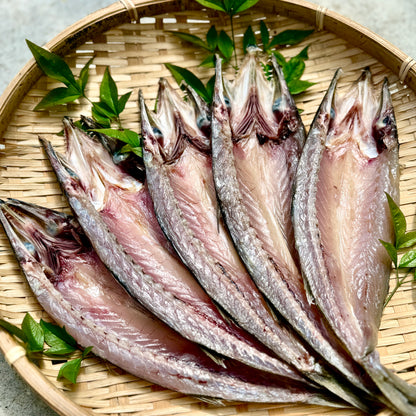 カマスの干物 ー9枚セット（3枚×3袋/900〜980g）